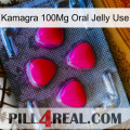 Kamagra 100Mg Oral Jelly Use 13